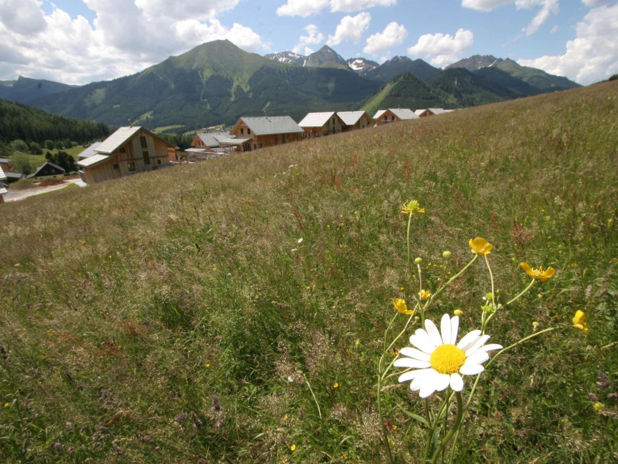 Nice Chalet In Hohentauern Styria With Sauna Villa Екстериор снимка